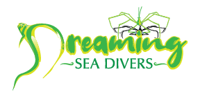 dsd-logo
