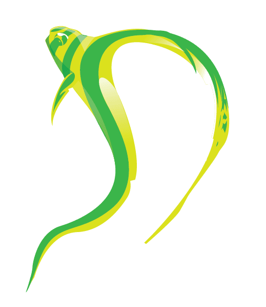 DSD Icon