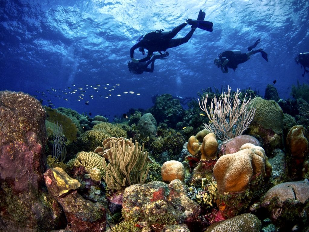 private scuba guides
