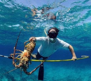 spear fishing