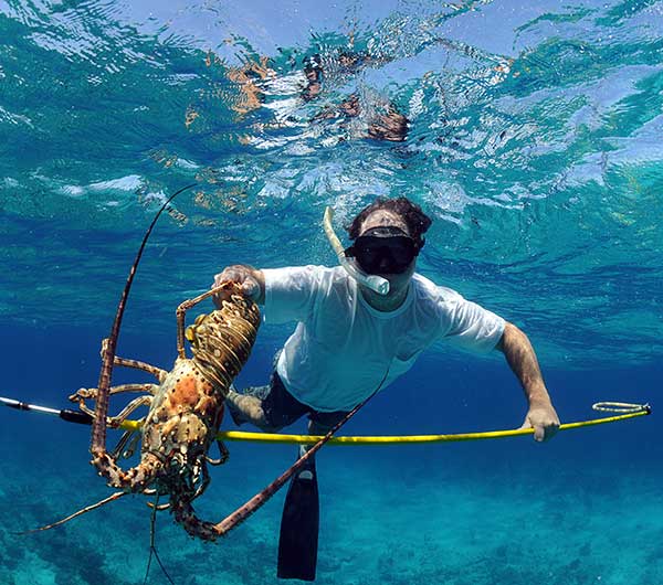spear fishing