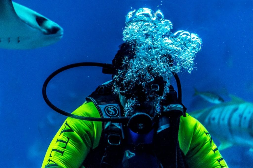 independent scuba diving classes