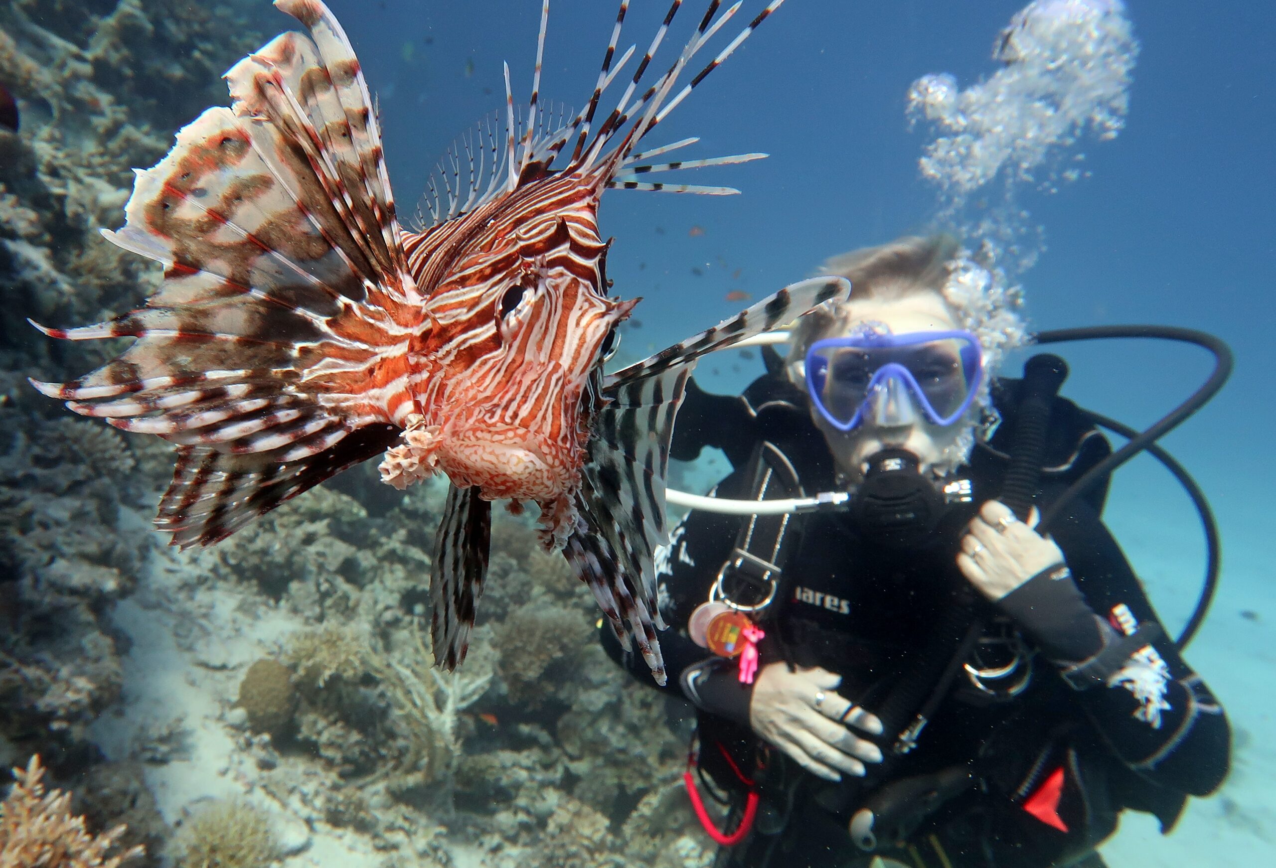 scuba certification