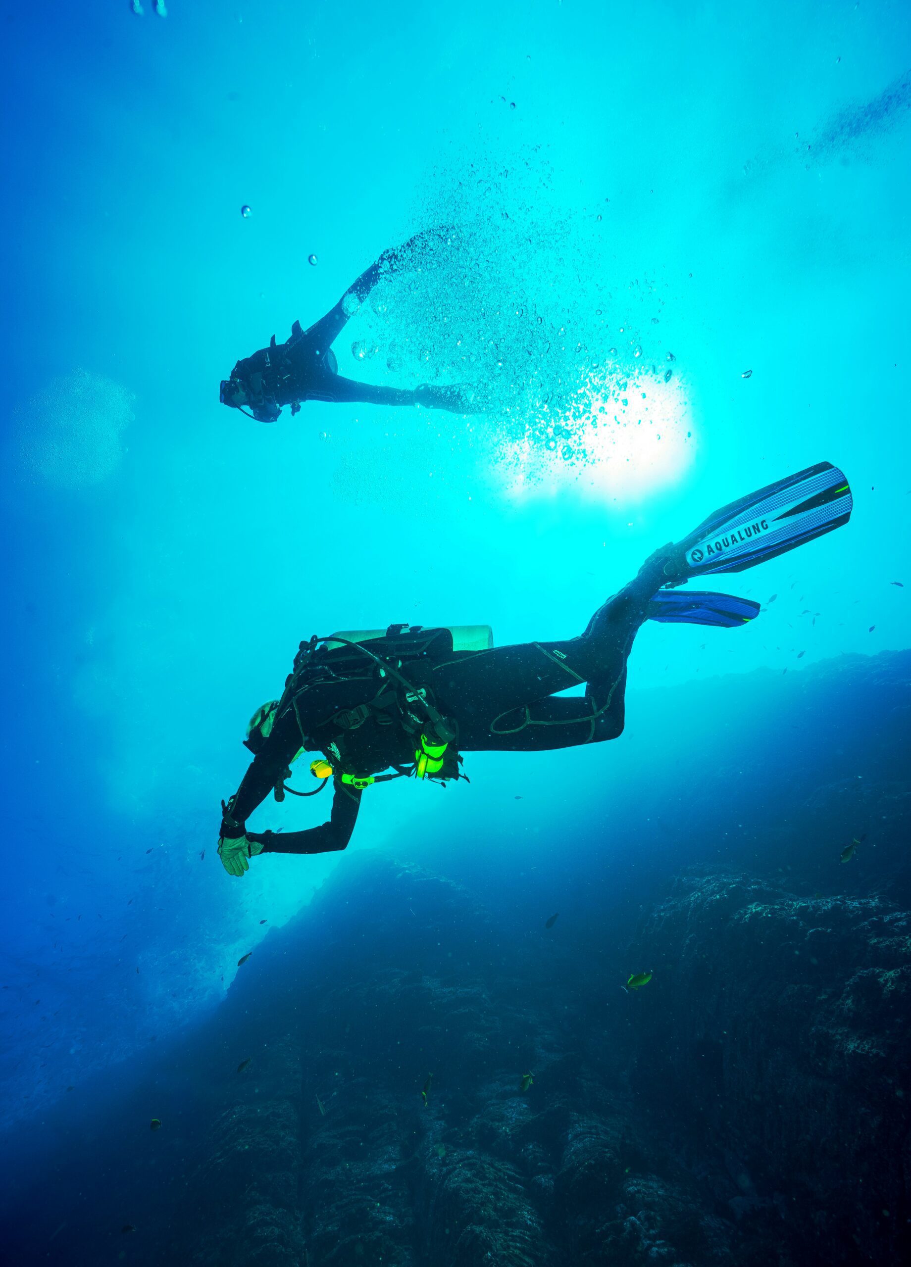 Open water certification course.
