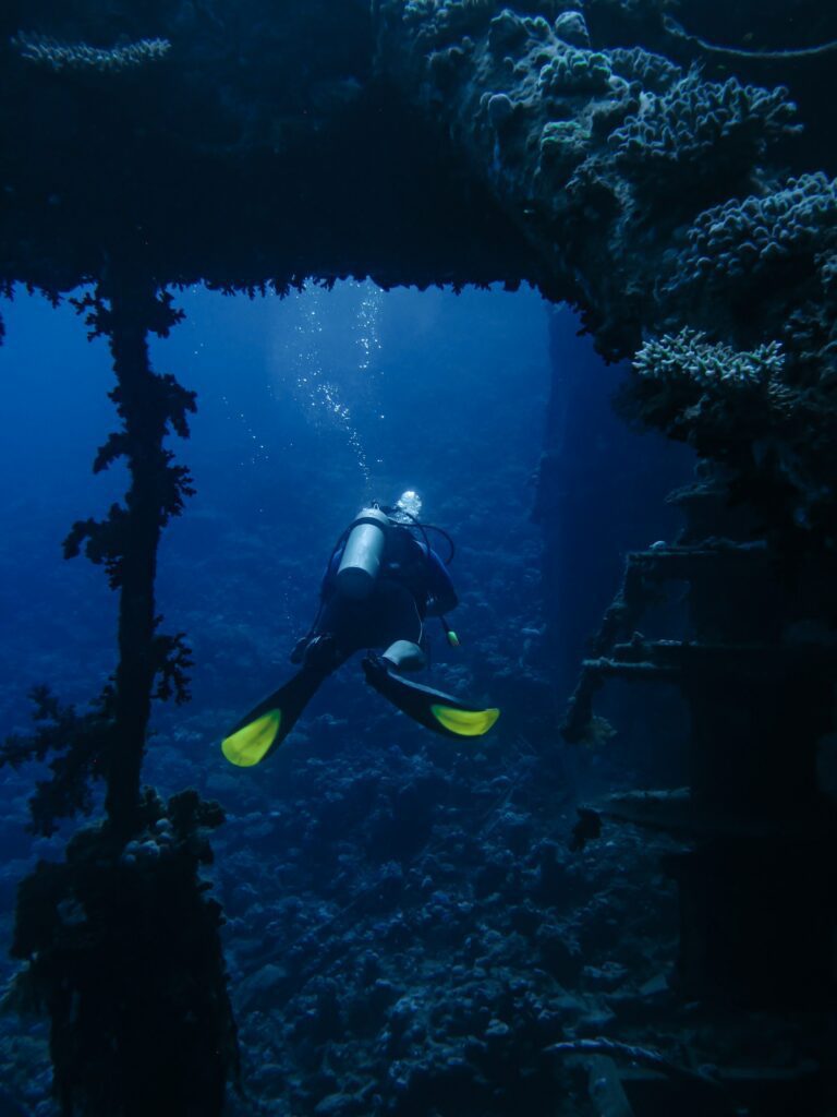scuba diving lessons 