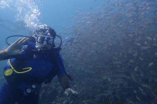 A diver exploring in the ocean.