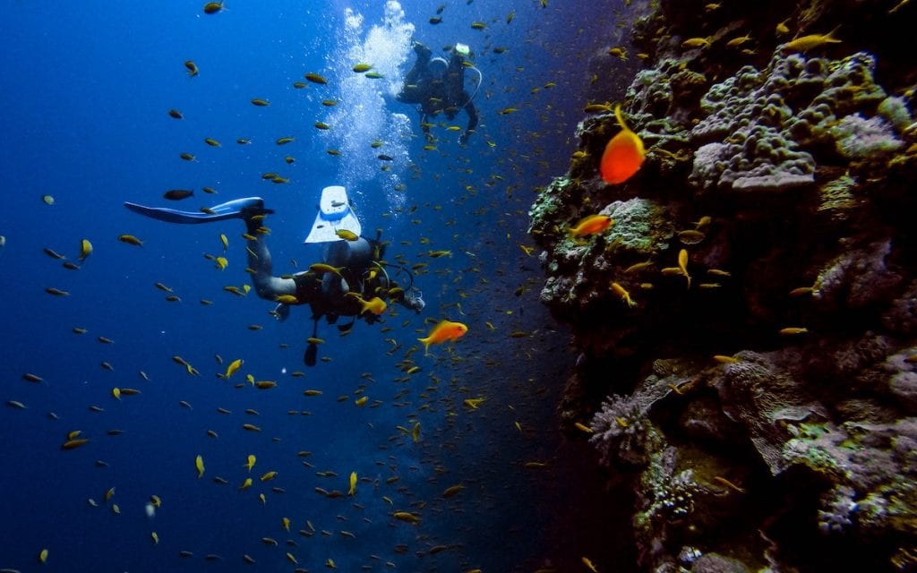 scuba diving florida